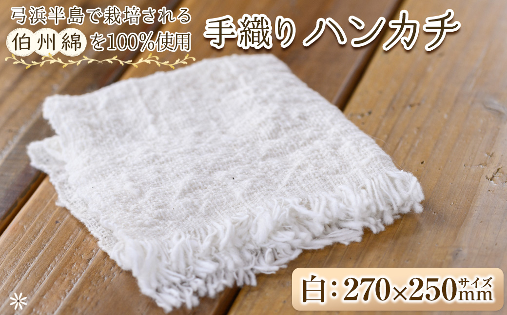伯州綿ハンカチ(1枚)【sm-BC002】【浜っ子】