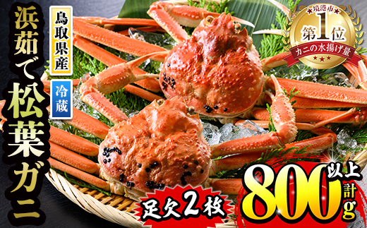 ＜月～木着※指定日不可＞＜11月中旬～2月末発送予定＞浜茹松葉ガニ足欠(2枚/計約800g以上)【sm-BE001-C】【川口商店】
