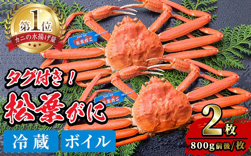 ＜土日祝着※指定日不可＞＜1月初旬～2月下旬発送予定＞＜期間限定・数量限定＞境港水揚げ 松葉ガニ(2枚)【sm-BP002-B】【フジキコーポレーション】