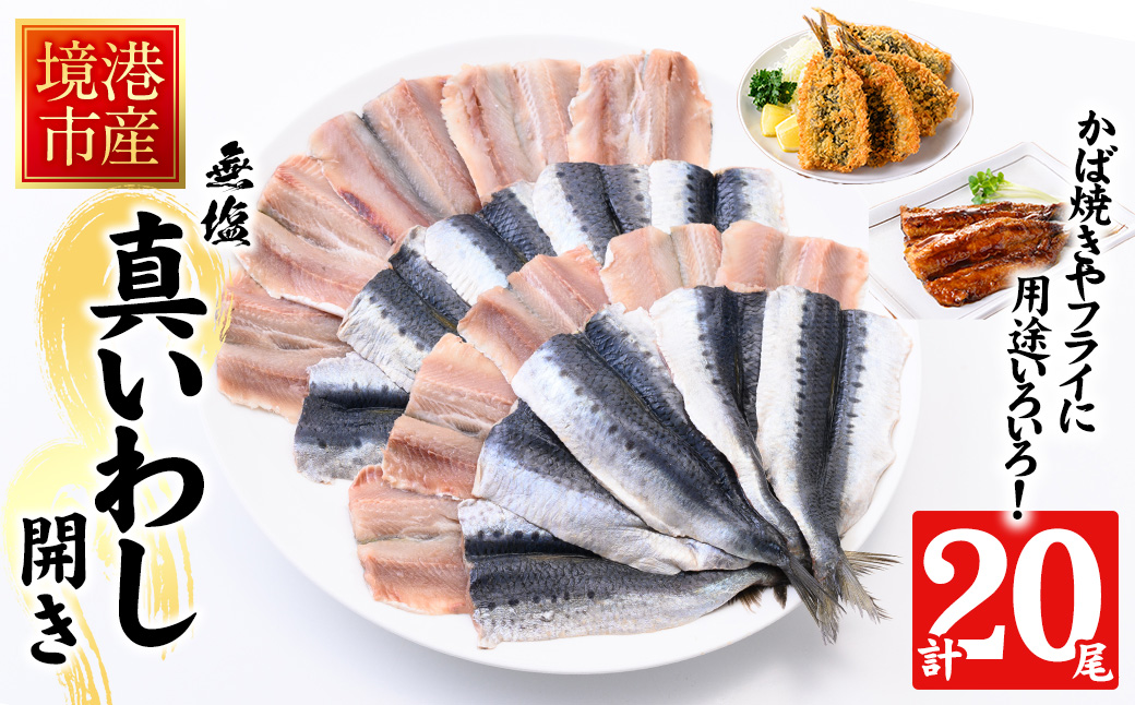 境港産 無塩いわしひらき(計20尾)【sm-CD009】【羽根】