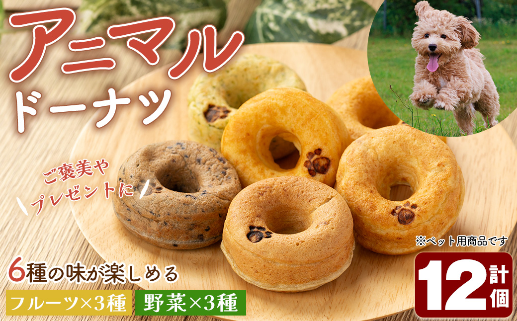 アニマルドーナツ(12個) 【sm-CH003】【はまゆう】