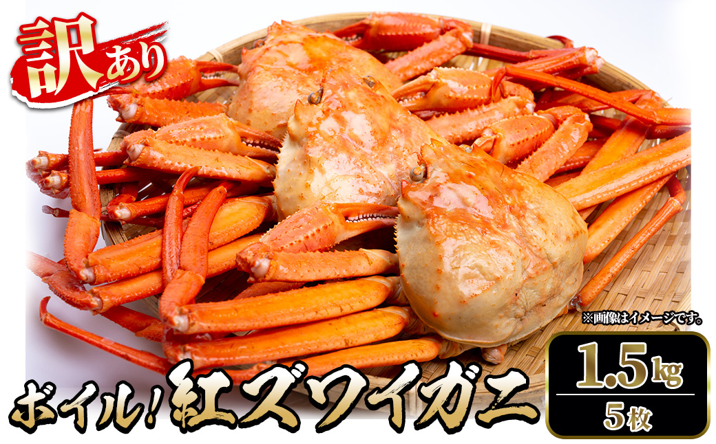 ＜土日祝着※指定日不可＞＜6月～9月中旬発送不可＞＜訳あり＞紅ズワイガニ ボイル(1.5kg・5枚)【sm-DD060-B】【Workplays】