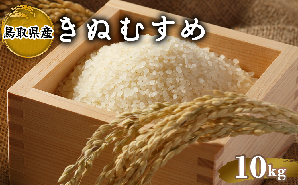 ＜2025年10月中旬～2026年8月下旬発送予定＞＜数量限定＞令和7年産米鳥取県産きぬむすめ(10kg)【sm-DD067】【Workplays】
