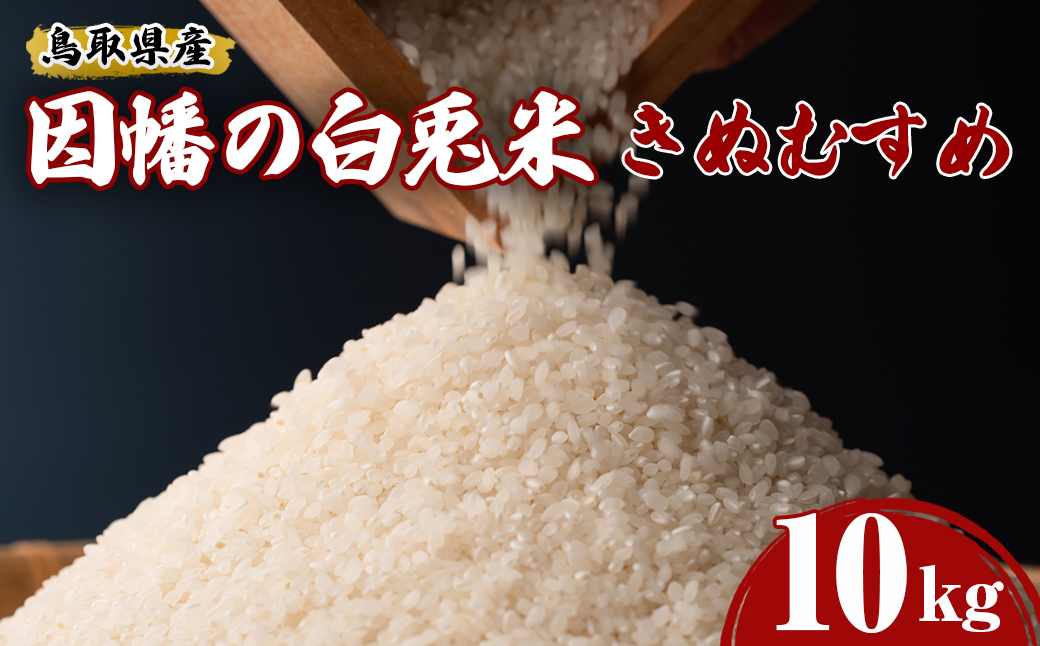 ＜2025年10月中旬～2026年8月下旬発送予定＞＜数量限定＞【因幡の白兎米】令和7年産米きぬむすめ10kg(5kg×2袋)【sm-DD070】【Workplays】