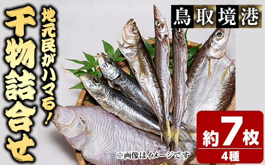 人気干物詰め合わせセット(約7枚)【sm-DG004-A】【木村鮮魚店】