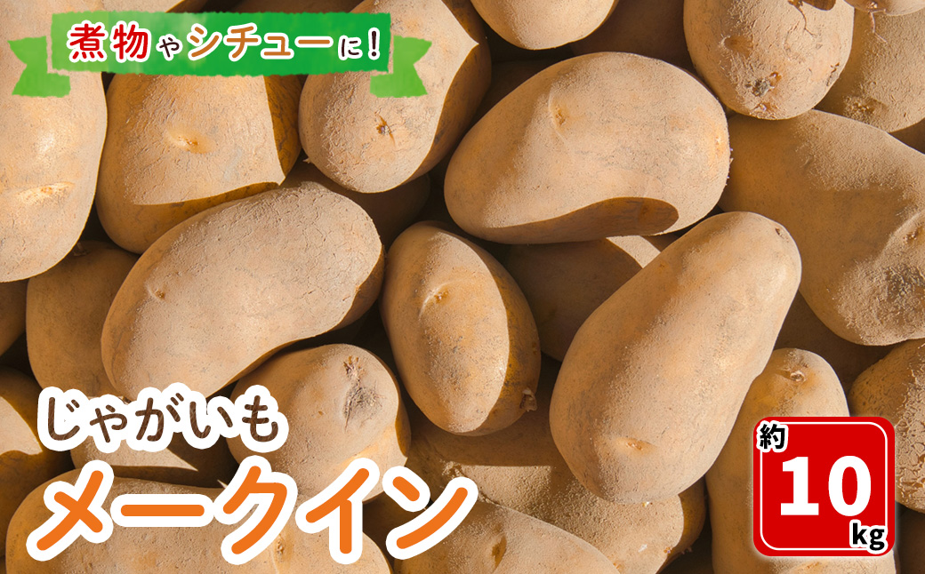 ＜7月中旬～9月中旬発送予定＞じゃがいも メークイン(約10kg)【sm-DI001】【大原茂美】