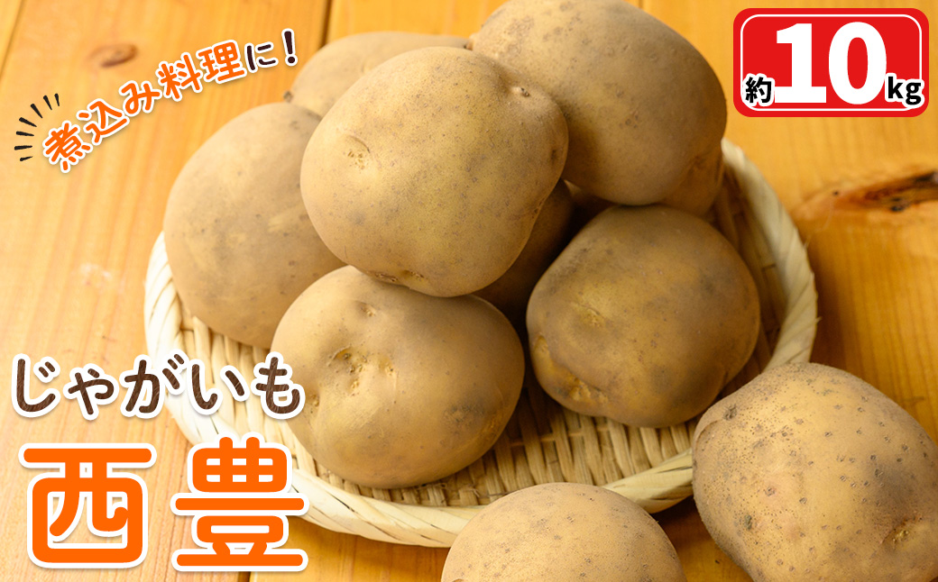 ＜12月中旬～2月中旬発送予定＞じゃがいも 西豊(約10kg)【sm-DI002】【大原茂美】