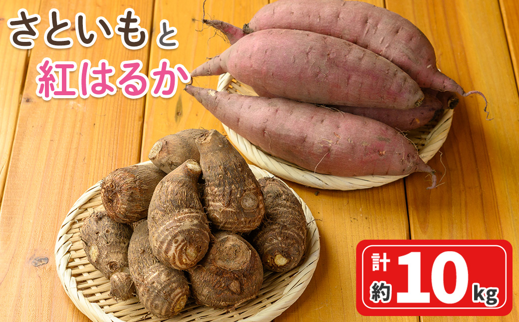 ＜10月上旬～2月下旬発送予定＞さといもと紅はるかのセット(約10kg)【sm-DI003】【大原茂美】