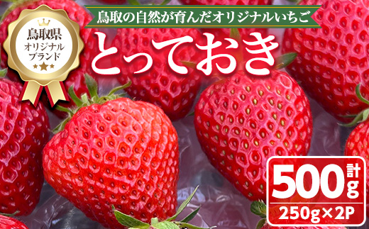 ＜数量限定！期間限定！＞＜2026年1月中旬～3月下旬発送予定＞鳥取県オリジナルブランドのいちご「とっておき」(計500g・250g×2P) 【sm-ED001】【空のいちご】