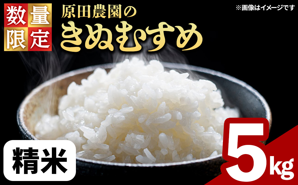 ＜令和7年産・数量限定＞原田農園の「きぬむすめ」(精米・5kg) 【sm-EF002-A05】【やまのおかげ屋】