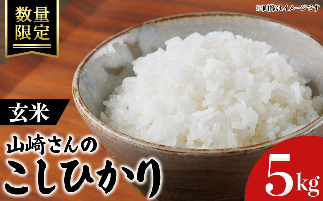 ＜令和7年産・数量限定＞山崎さんのこしひかり(玄米・5kg) 【sm-EF003-B05】【やまのおかげ屋】