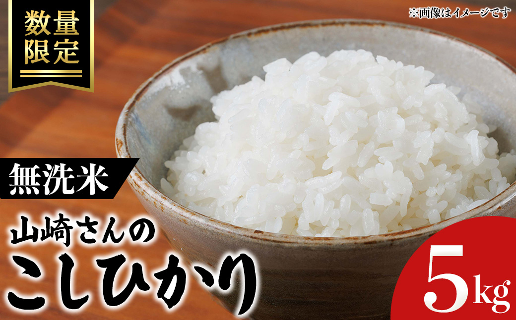 ＜令和7年産・数量限定＞山崎さんのこしひかり(無洗米・5kg) 【sm-EF003-C05】【やまのおかげ屋】