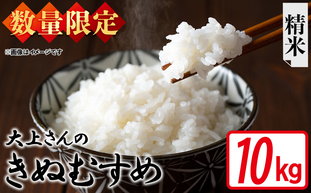＜令和7年産・数量限定＞大上さんのきぬむすめ(精米・10kg) 【sm-EF004-A10】【やまのおかげ屋】
