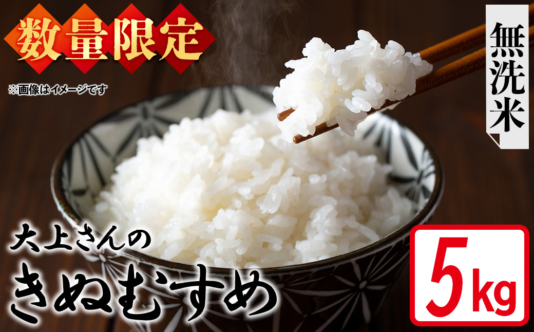 ＜令和7年産・数量限定＞大上さんのきぬむすめ(無洗米・5kg) 【sm-EF004-C05】【やまのおかげ屋】