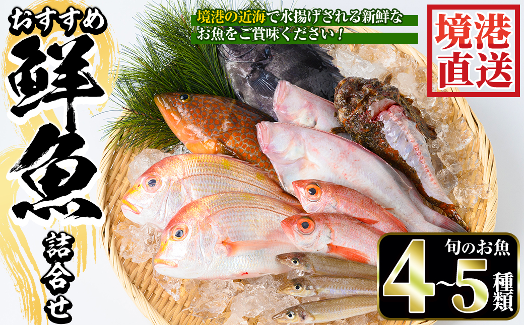 [土日祝着][7〜8月・年末年始配送不可]おすすめ鮮魚詰め合わせ(4〜5種類)[sm-AA003-B][いたくら]