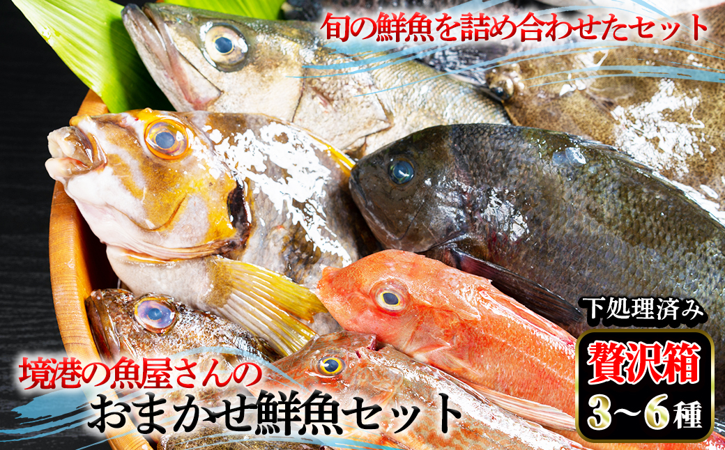 [平日着※指定日不可]境港の魚屋さんのおまかせ鮮魚セット 贅沢箱(3〜6種) 下処理済み[sm-DD013・sm-DD014][Workplays]