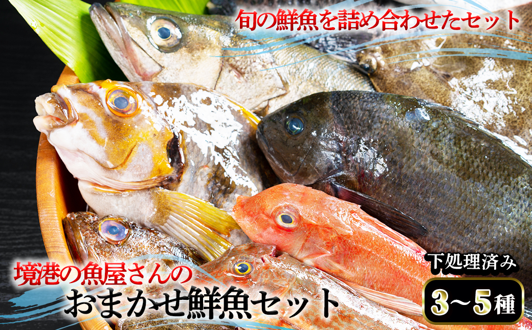 [平日着※指定日不可]境港の魚屋さんのおまかせ鮮魚セット(3〜5種) 下処理済み[sm-DD013・sm-DD014][Workplays]