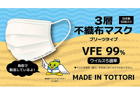 【72005】鳥取県岩美町産 不織布マスク 50枚入り×2箱（100枚）