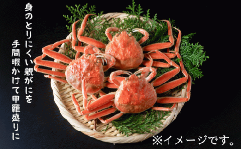 【24004】メスのズワイガニ「親がに」甲羅盛り　4個