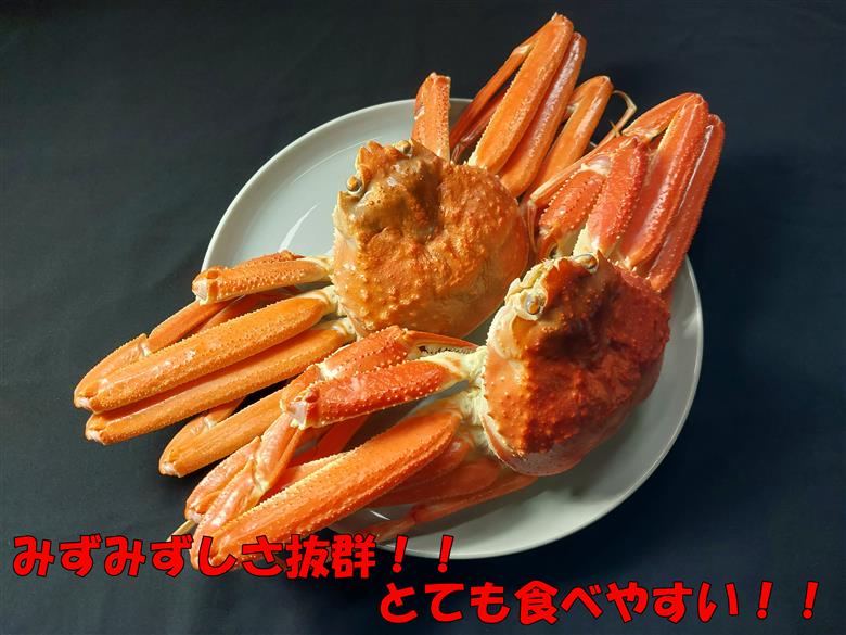 【22042】岩美町特産　若松葉ガニ姿茹で　2枚セット