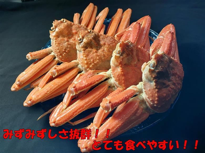 【22044】岩美町特産　若松葉ガニ姿茹で　4枚セット