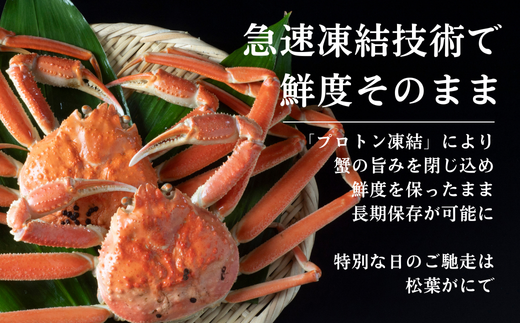 年内発送 松葉がに（冷凍） 約500g 1枚｜鳥取 岩美 かに 松葉ガニ 年末年始 冷凍 生 プロトン凍結 急速冷凍【22047】