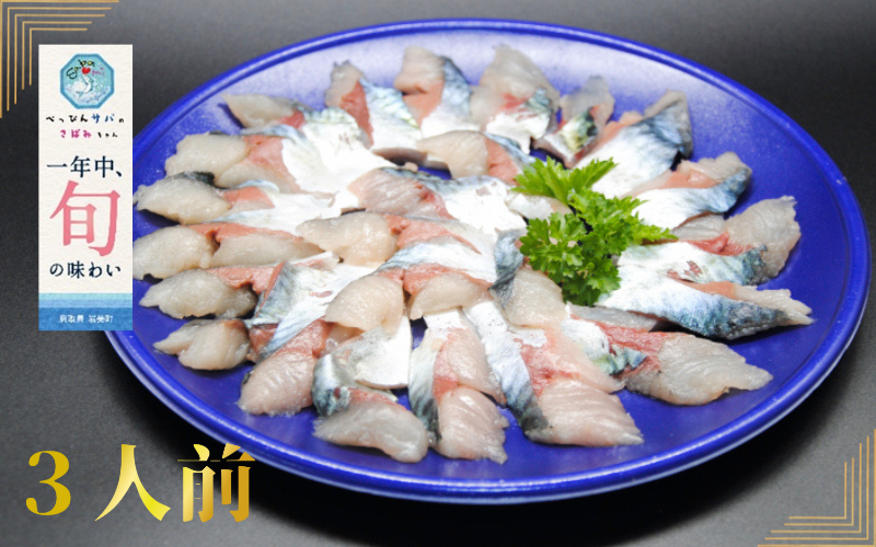 【24023】★ZIP!で紹介★ 岩美町産 「サバさし」3人前（べっぴんサバのさばみちゃん刺身）