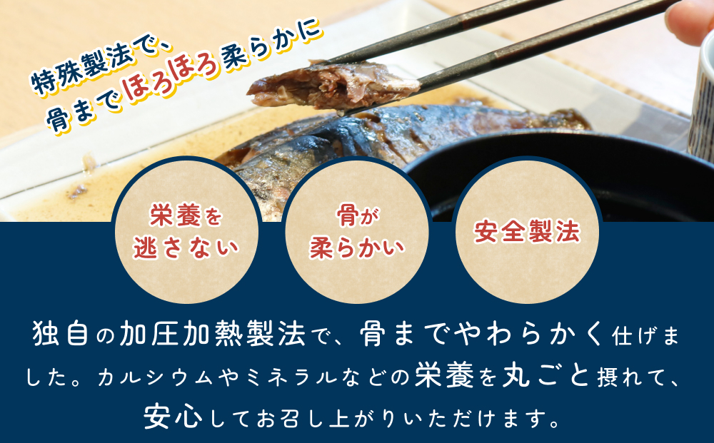 骨まで食べられるさかな（アジ）焼煮4袋セット（各2袋）｜鳥取 岩美 魚 焼魚 煮魚 長期保存【24049】