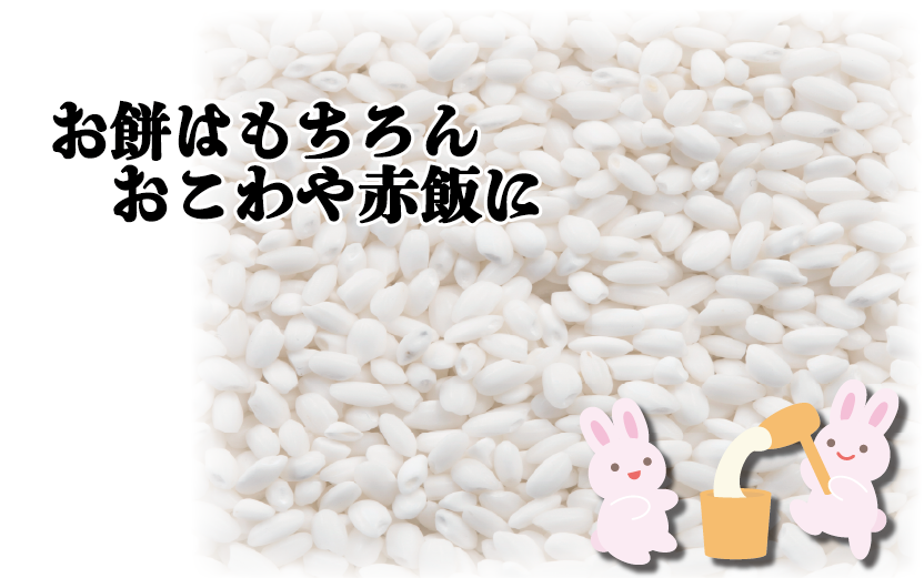 岩美町産もち米（ハクトモチ）1kg 令和7年産｜鳥取 岩美町 もち米 ハクトモチ 精米 発送は2025年11月～【31028】