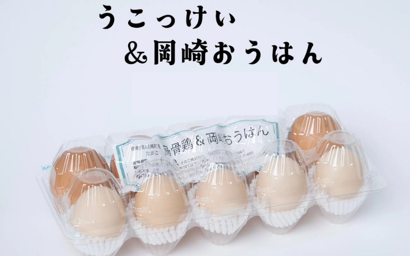 烏骨鶏＆岡崎おうはん薬膳鶏の自然な恵み！卵ペアセット｜鳥取 たまご うこっけい 鶏卵【33003】