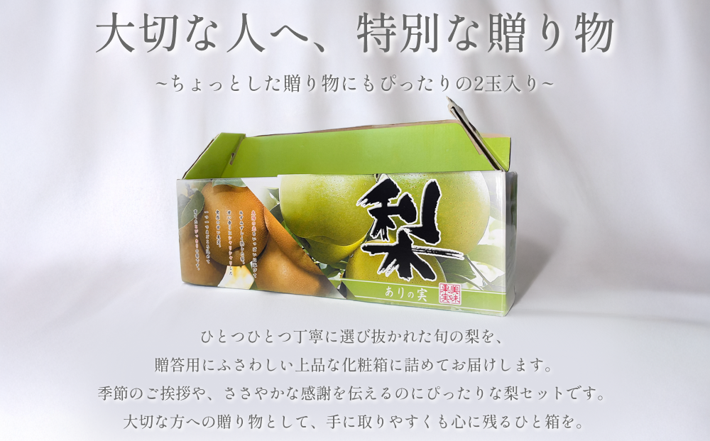 中野農園 梨 ”王秋梨” 2玉入り｜鳥取 岩美 梨 なし ナシ 赤梨 果物 フルーツ【41015】