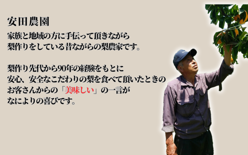 【先行予約】安田農園 梨 ”新甘泉” 3kg箱｜鳥取 岩美 梨 なし ナシ 赤梨 果物 フルーツ【41030】