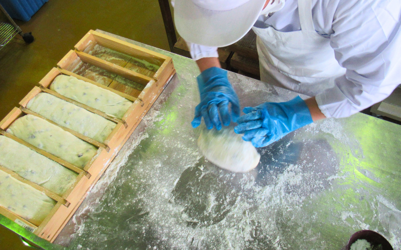 和楽の切り餅 よもぎ味 5袋｜鳥取 もち モチ お餅【52012】