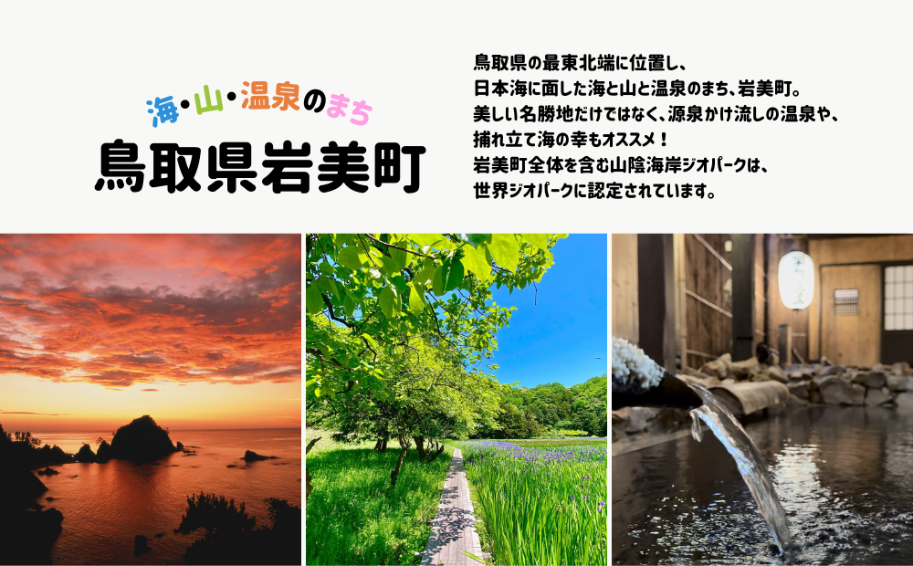 【返礼品なし】鳥取県岩美町へのご寄附 (1口:2,000円)｜鳥取 岩美【99999】