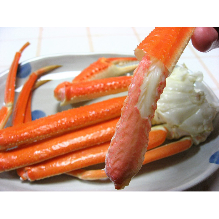 【22035】鳥取網代港　地元で大人気　浜茹で！若松葉ガニ（中5枚10肩）【さかなや新鮮組】