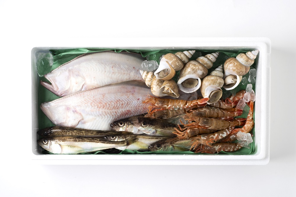 【21001】鳥取県岩美町 旬の魚おまかせセットA