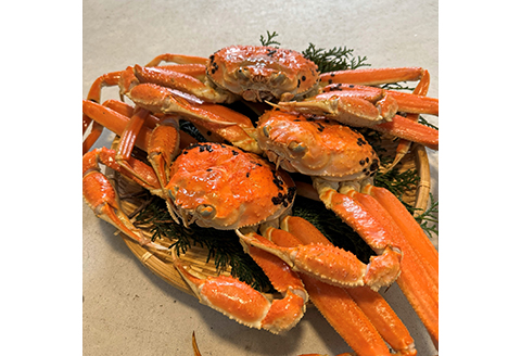 【22017】鳥取網代港【訳あり】浜茹で！松葉ガニ2kgセット【さかなや新鮮組】