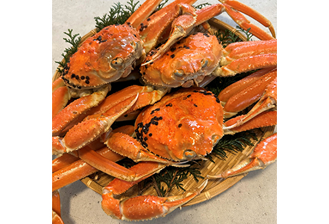 【22018】鳥取網代港【訳あり】活！松葉ガニ2kgセット【さかなや新鮮組】