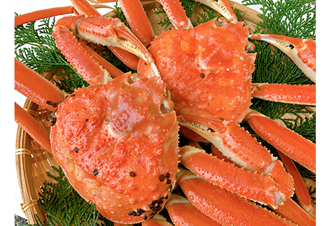 【22025】鳥取網代港【訳あり】浜茹で！松葉ガニ1kgセット【さかなや新鮮組】