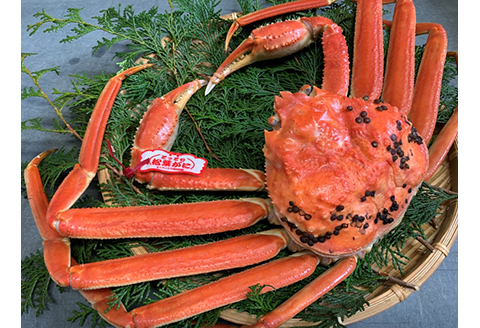 【22027】鳥取網代港【ブランドタグ付】浜茹で！極上松葉ガニ（中）700g【さかなや新鮮組】