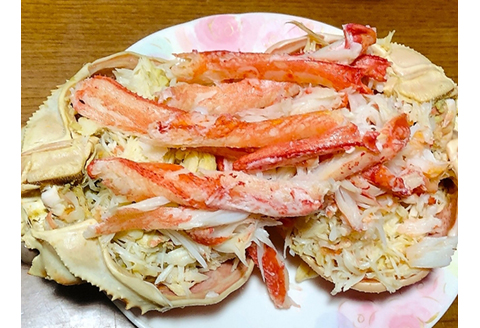 【22029】鳥取網代港【訳あり】浜茹で！松葉ガニ（中）700g【さかなや新鮮組】