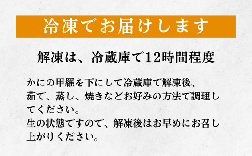 年内発送 松葉がに（冷凍） 約500g 2枚｜鳥取 岩美 かに 松葉ガニ 年末年始 冷凍 生 プロトン凍結 急速冷凍【22048】