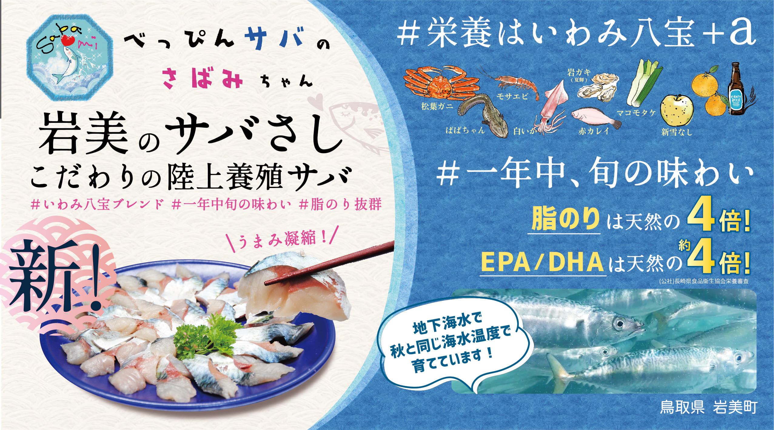 【24023】★ZIP!で紹介★ 岩美町産 「サバさし」3人前（べっぴんサバのさばみちゃん刺身）