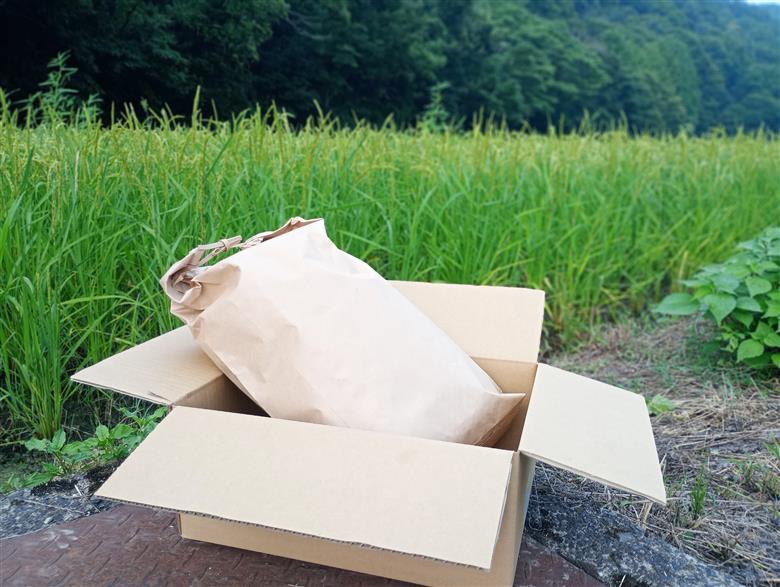 【先行予約】岩美薮内農場米（コシヒカリ）10kg 玄米｜鳥取 岩美 米 お米 こめ コメ 令和7年産 新米【31013】