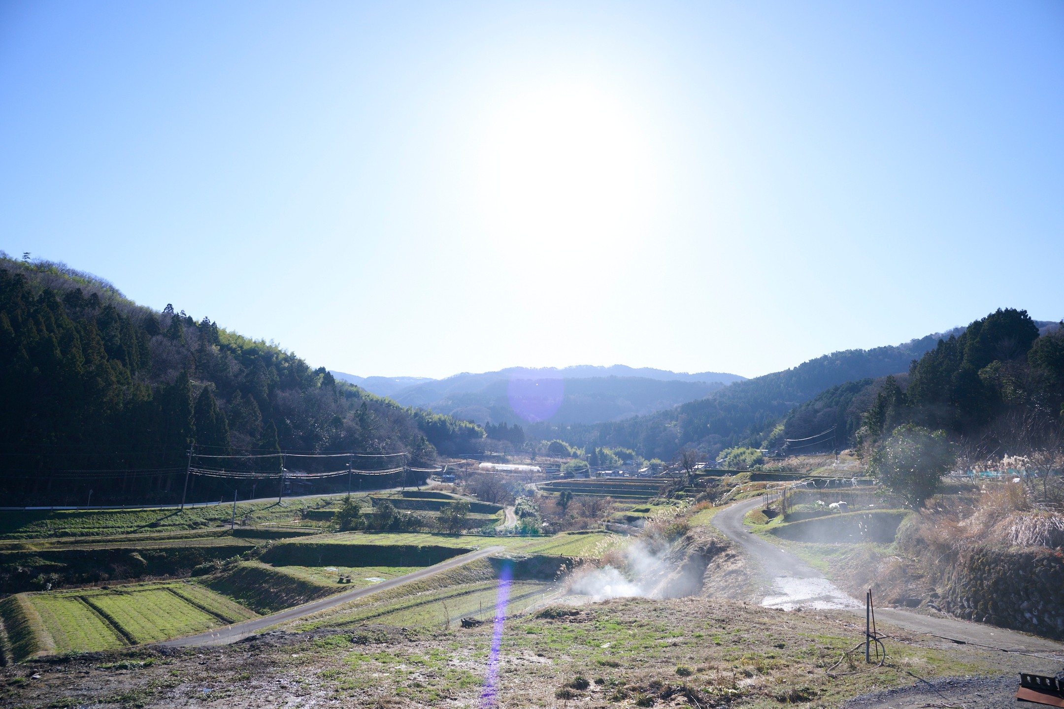 岡崎おうはん！薬膳鶏の自然な恵み！卵30個セット｜鳥取 たまご 鶏卵【33002】