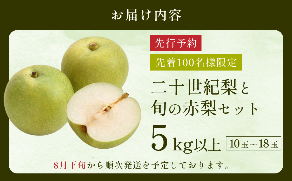 先行予約 二十世紀梨と旬の赤梨セット 5kg｜鳥取 果物 フルーツ なし 梨 品種はおまかせ【41038】