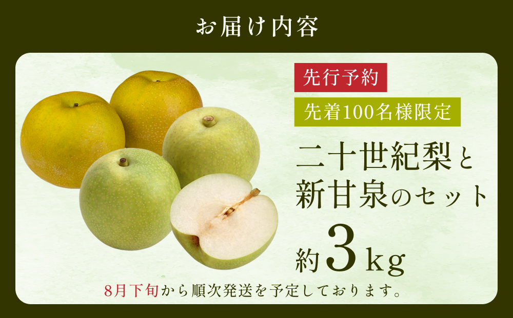 先行予約 二十世紀梨と新甘泉セット 3kg｜鳥取 果物 フルーツ なし 梨【41040】