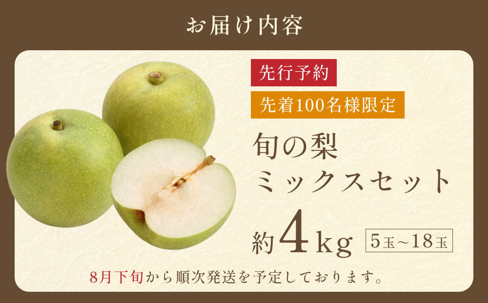 先行予約 品種はおまかせ 旬の梨ミックス 4kg｜鳥取 果物 フルーツ なし 梨 ※発送は10月以降【41041】