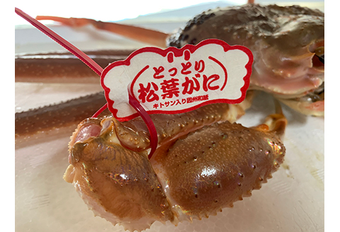 【22023】鳥取網代港【ブランドタグ付】浜茹で！極上松葉ガニ（大）800g【さかなや新鮮組】