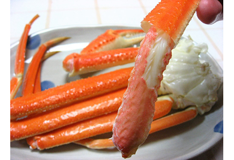 【22036】鳥取網代港　地元で大人気　活！若松葉ガニ（中5枚）【さかなや新鮮組】